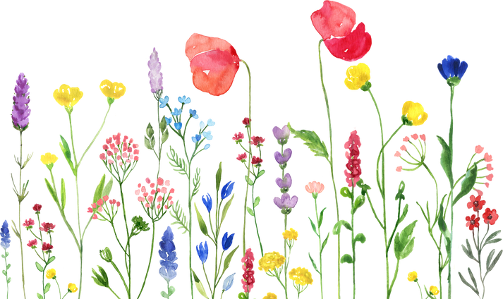 Wildflowers border